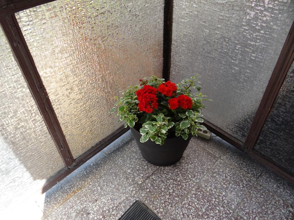 Homestay Stefanka *